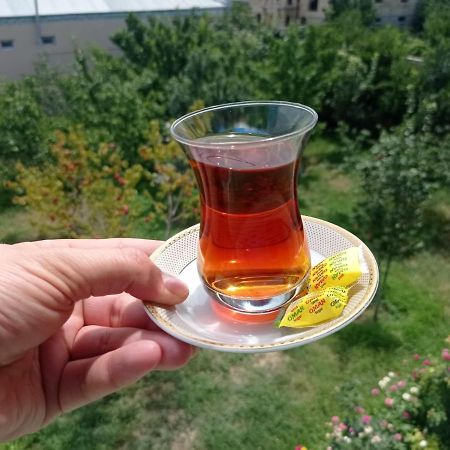 Bizim Ev Hostel Naftalan Eksteriør bilde